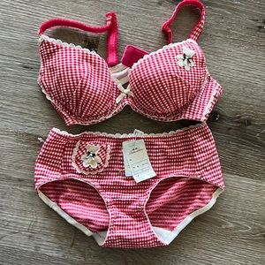 Gingham bear bra kawaii undies set